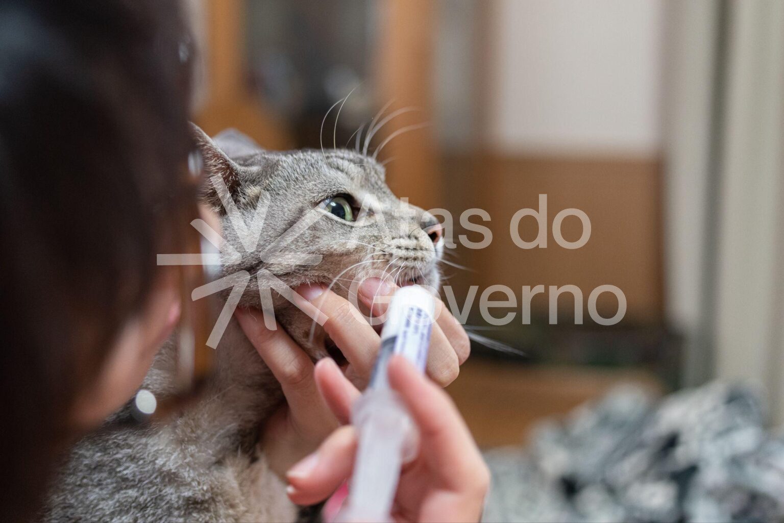 ANTIPARASITÁRIOS: responsáveis pelo controle de pulgas, carrapatos e outros.