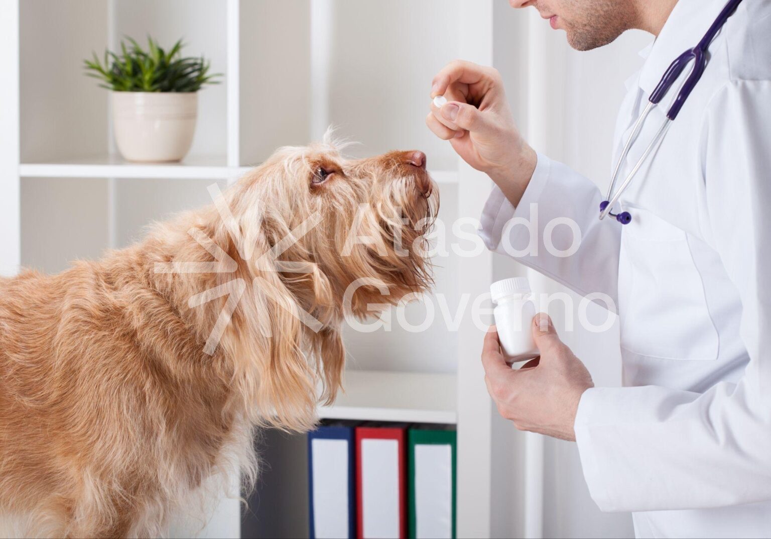 VERMÍFUGOS: fundamentais para saúde geral dos animais.